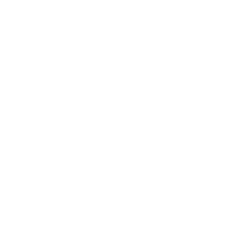 Two Bros